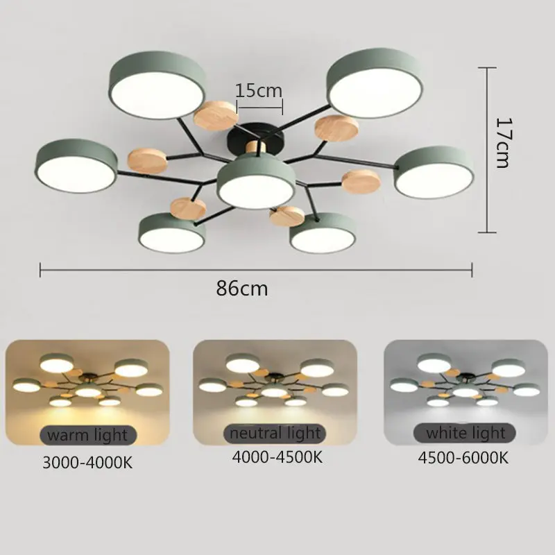 Eileen Living Room Ceiling Lights - Image 4